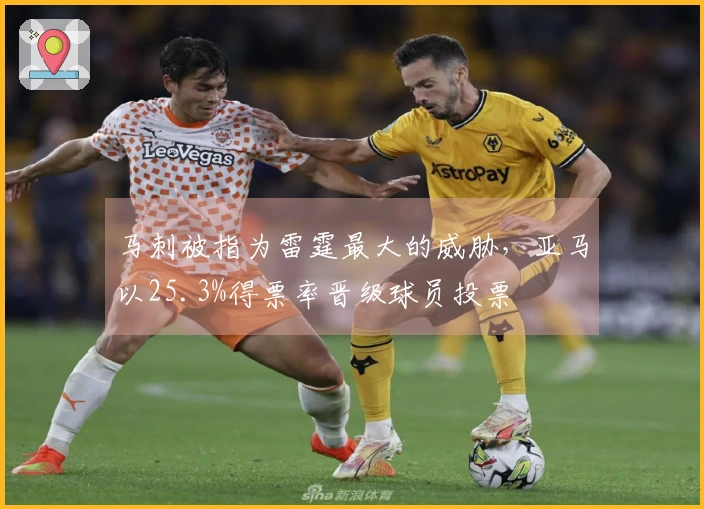 马刺被指为雷霆最大的威胁，亚马以25.3%得票率晋级球员投票